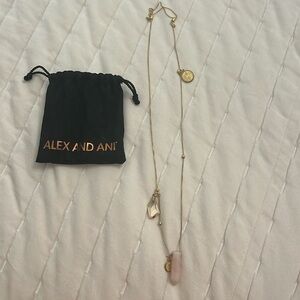 Alex and Ani Crystal charm necklace